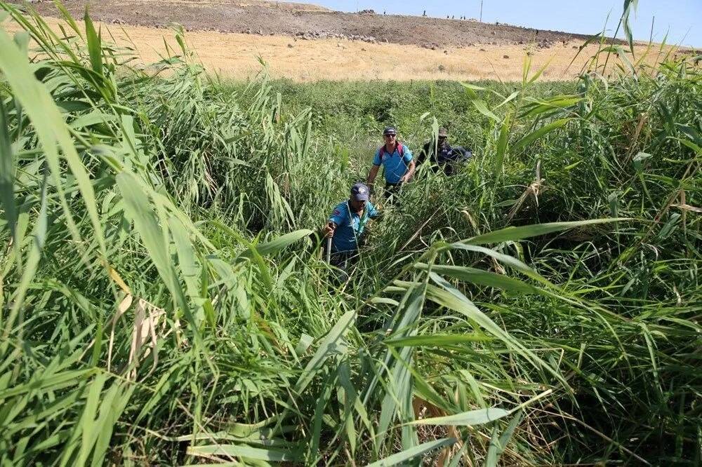 Narin cinayetinde dikkat çeken ağabey detayı! 9